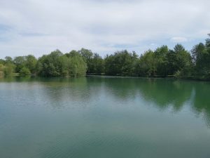 View of Little Horseshoe Lake surrounded by trees